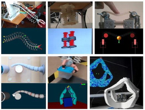 Software toolkit for modeling, simulation and control of soft robots