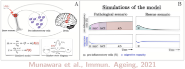 MathNeuro