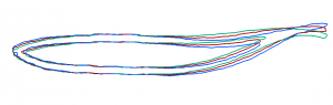 Construction of an intermediate level-set (fish profile) 