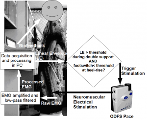 This is a double-blind study where stroke survivors  will be randomly allocated to either anodal transcranial DC stimulation (tDCS) or sham stimulation (sham) group. Both the groups will use electromyogram (EMG)-triggered neuromuscular electrical stimulation for gait therapy. The subjects as well as the investigators will be blinded to the application of anodal tDCS or sham intervention.
