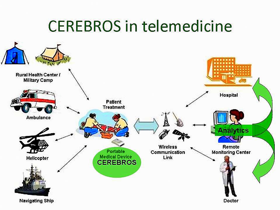 CEREBROS