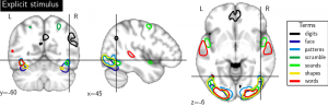 forward_regions_explicit_stimulus