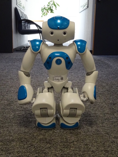 Synes Ekstraordinær klima The Companion Robot NAO 