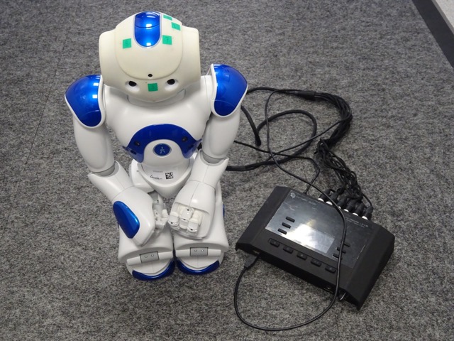 The Companion Robot Nao